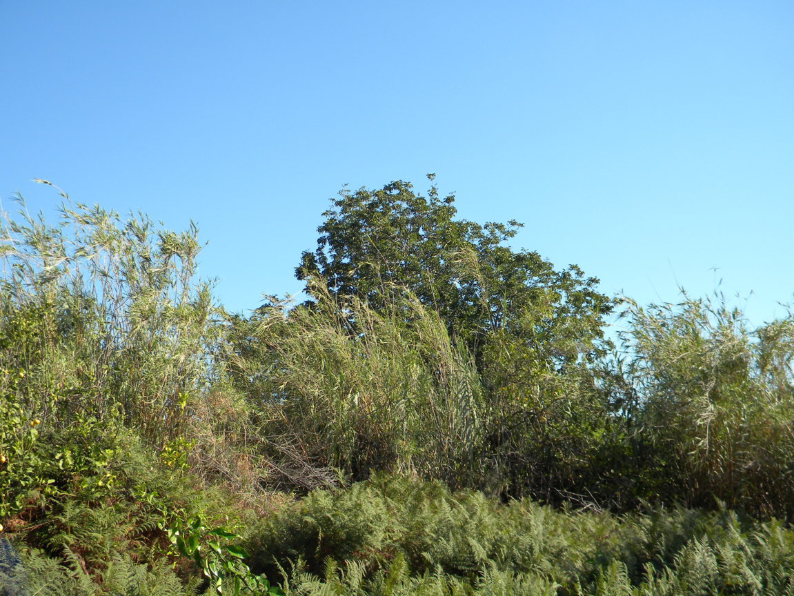 DSCN8148 .JPG